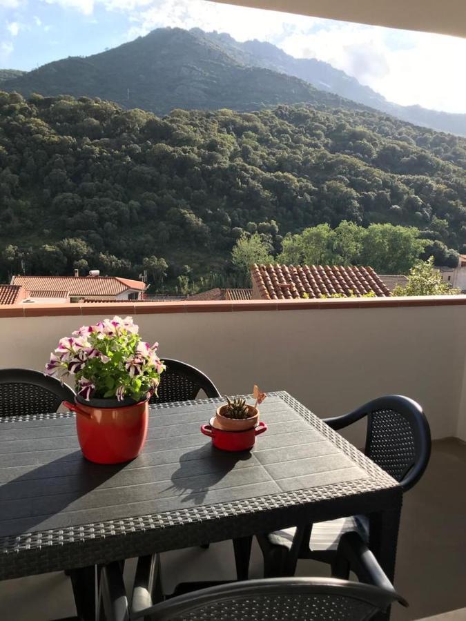 La Corbula - Casa Vacanze - Q5992 Флуминимаджоре Екстериор снимка